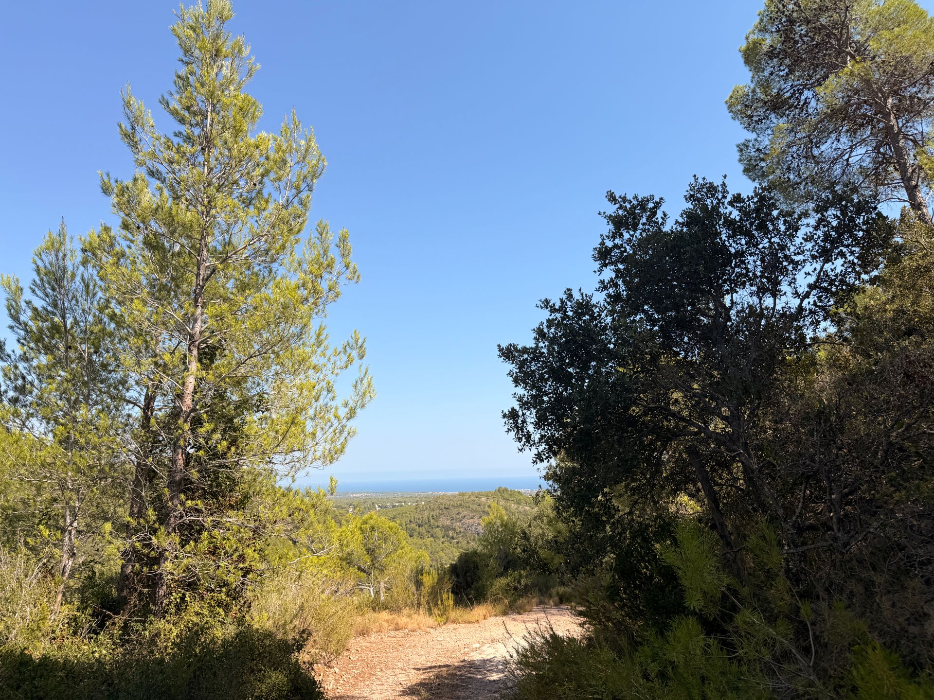 ++ Finca rustical en Vandellos ++ - Image 13